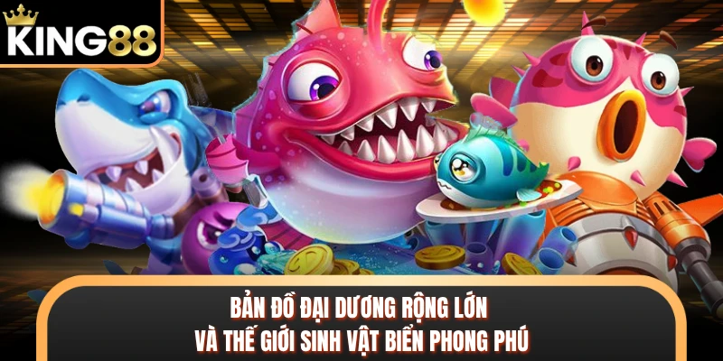 Bản đồ đại dương rộng lớn và thế giới sinh vật biển phong phú
