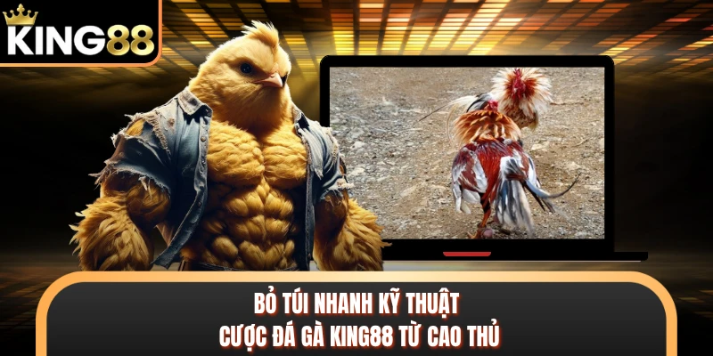 Bỏ túi nhanh kỹ thuật cược đá gà KING88 từ cao thủ