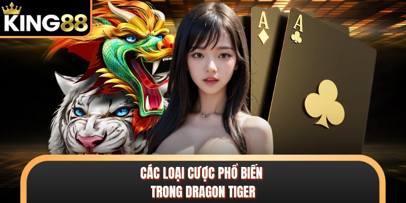 Các loại cược phổ biến trong Dragon Tiger