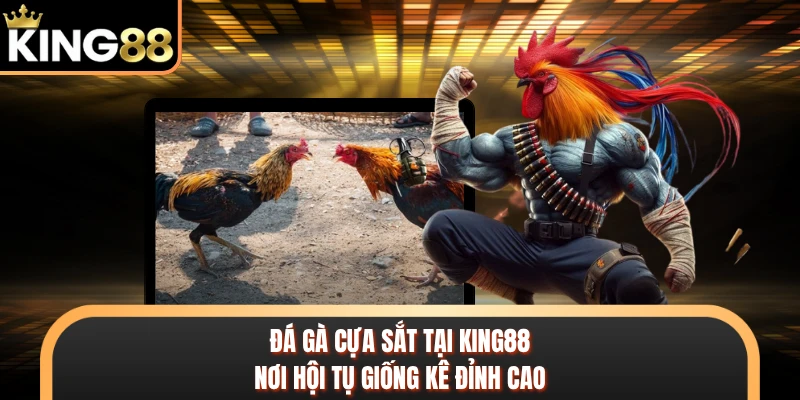 Đá Gà Cựa Sắt Tại KING88 - Nơi Hội Tụ Giống Kê Đỉnh Cao