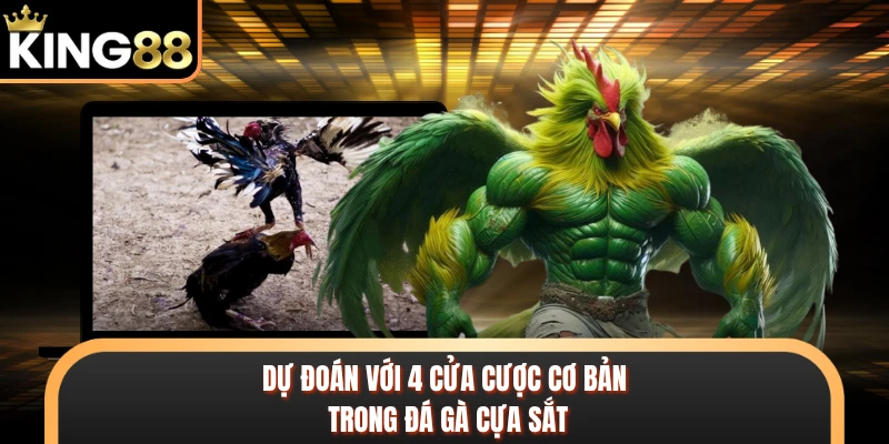Dự đoán với 4 cửa cược cơ bản trong đá gà cựa sắt