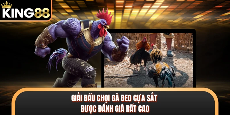 Giải đấu chọi gà đeo cựa sắt được đánh giá rất cao