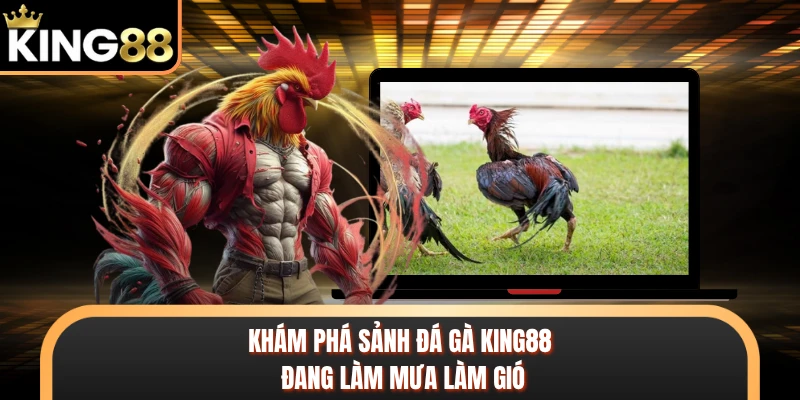 Khám phá sảnh đá gà KING88 đang làm mưa làm gió